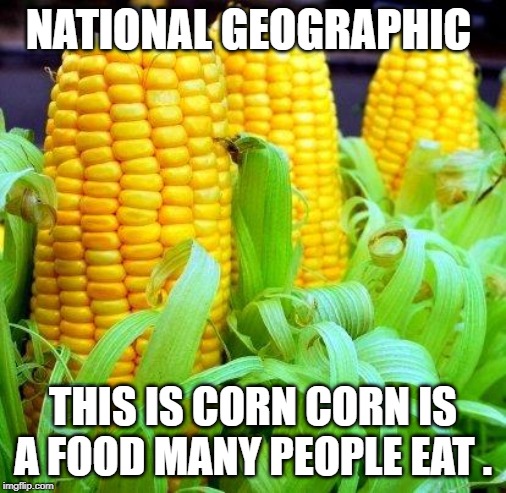 CORN meme | NATIONAL GEOGRAPHIC; THIS IS CORN CORN IS A FOOD MANY PEOPLE EAT . | image tagged in corn meme | made w/ Imgflip meme maker
