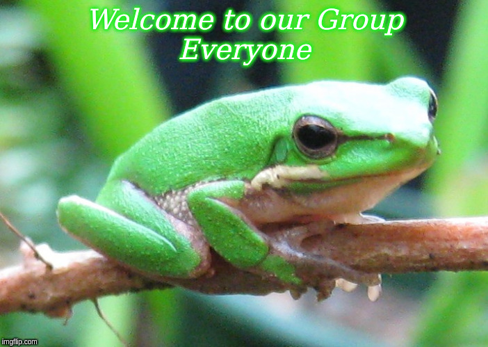 Welcome to our Group | Welcome to our Group
Everyone | image tagged in memes,frogs,welcome | made w/ Imgflip meme maker