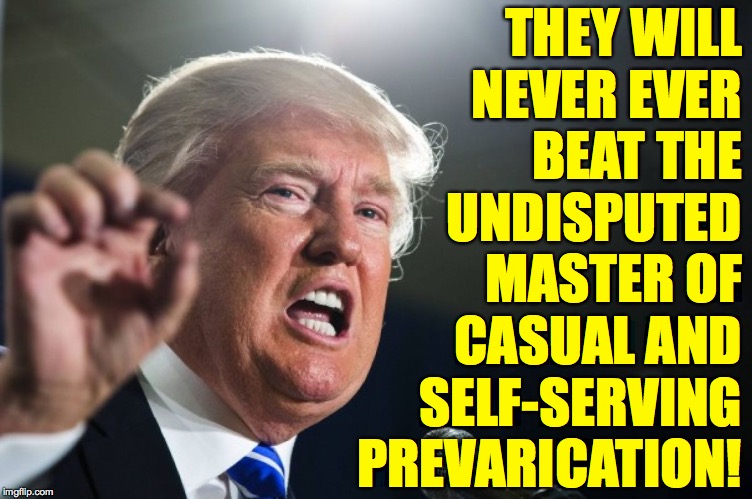 donald trump | THEY WILL
NEVER EVER
BEAT THE
UNDISPUTED
MASTER OF
CASUAL AND
SELF-SERVING
PREVARICATION! | image tagged in donald trump | made w/ Imgflip meme maker