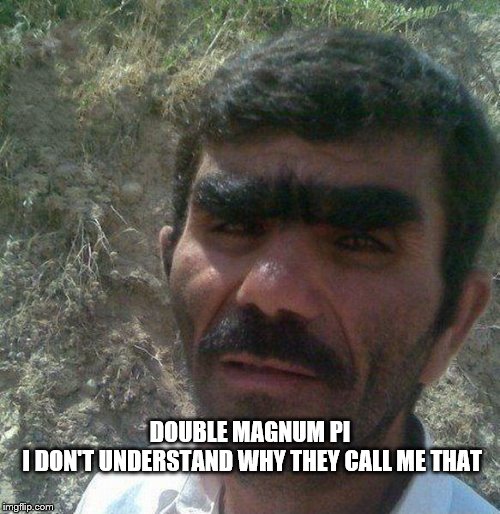 unibrow | DOUBLE MAGNUM PI
 I DON'T UNDERSTAND WHY THEY CALL ME THAT | image tagged in unibrow | made w/ Imgflip meme maker
