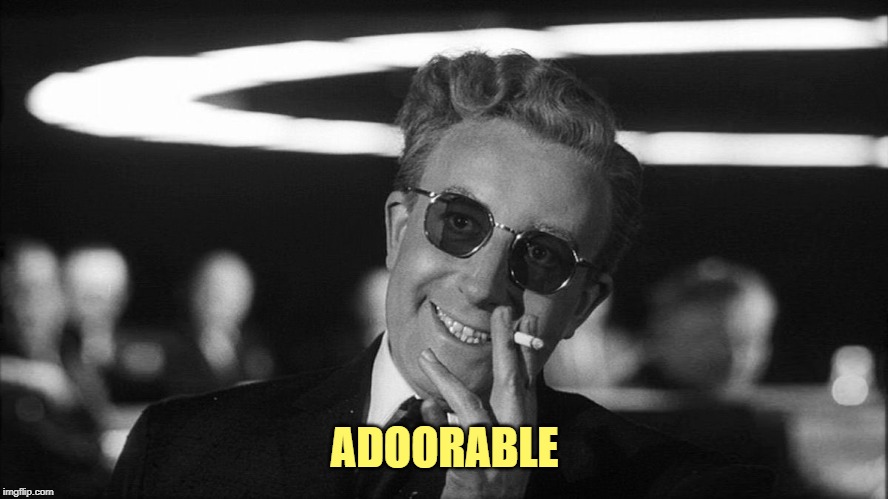Doctor Strangelove says... | ADOORABLE | image tagged in doctor strangelove says | made w/ Imgflip meme maker