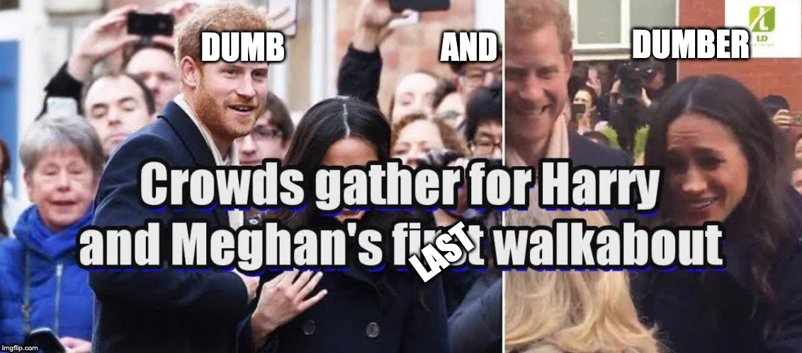 DUMBER; DUMB                         AND; LAST | image tagged in royals,harry,meghan markle | made w/ Imgflip meme maker