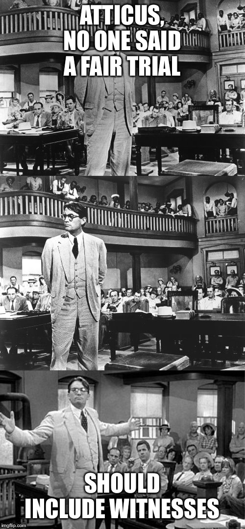 To Kill a Mockingbird | ATTICUS, NO ONE SAID A FAIR TRIAL; SHOULD INCLUDE WITNESSES | image tagged in to kill a mockingbird | made w/ Imgflip meme maker