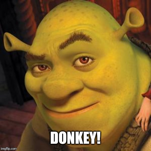 Shrek Sexy Face | DONKEY! | image tagged in shrek sexy face | made w/ Imgflip meme maker