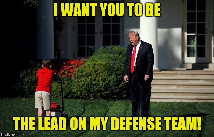 Trump Lawn Mower | I WANT YOU TO BE; THE LEAD ON MY DEFENSE TEAM! | image tagged in trump lawn mower | made w/ Imgflip meme maker