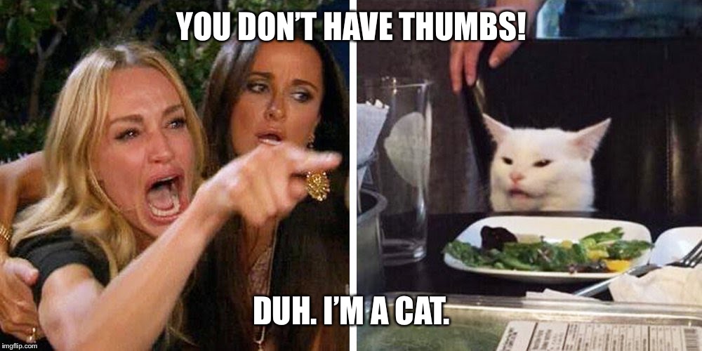 Smudge the cat | YOU DON’T HAVE THUMBS! DUH. I’M A CAT. | image tagged in smudge the cat | made w/ Imgflip meme maker