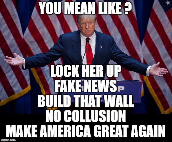 Donald Trump | YOU MEAN LIKE ? LOCK HER UP
FAKE NEWS
BUILD THAT WALL
NO COLLUSION

MAKE AMERICA GREAT AGAIN | image tagged in donald trump | made w/ Imgflip meme maker