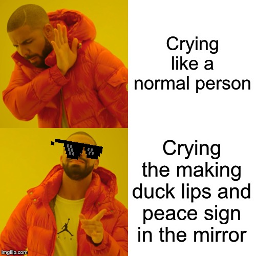 Drake Hotline Bling Meme | Crying like a normal person; Crying the making duck lips and peace sign in the mirror | image tagged in memes,drake hotline bling | made w/ Imgflip meme maker