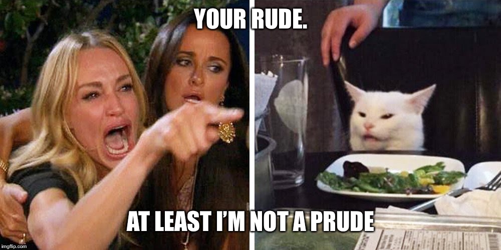 Smudge the cat | YOUR RUDE. AT LEAST I’M NOT A PRUDE | image tagged in smudge the cat | made w/ Imgflip meme maker