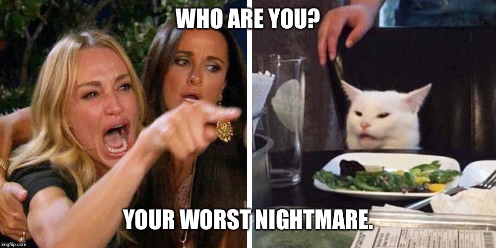 Smudge the cat | WHO ARE YOU? YOUR WORST NIGHTMARE. | image tagged in smudge the cat | made w/ Imgflip meme maker