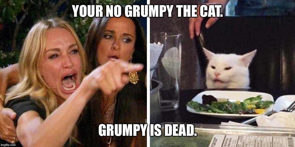 Smudge the cat | YOUR NO GRUMPY THE CAT. GRUMPY IS DEAD. | image tagged in smudge the cat | made w/ Imgflip meme maker