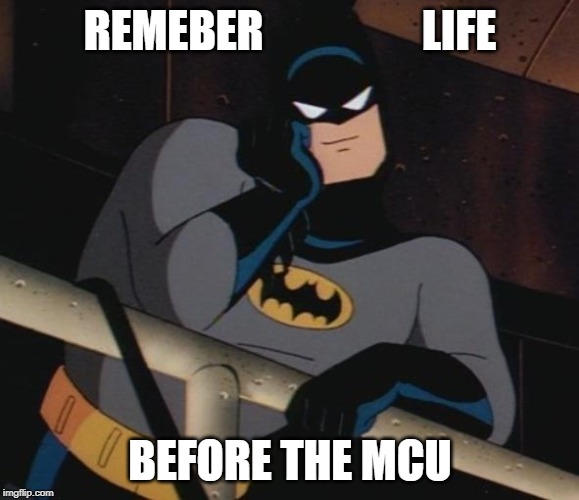 batman thinking | REMEBER                  LIFE; BEFORE THE MCU | image tagged in batman thinking | made w/ Imgflip meme maker