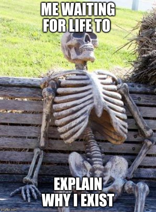 Waiting Skeleton | ME WAITING FOR LIFE TO; EXPLAIN WHY I EXIST | image tagged in memes,waiting skeleton | made w/ Imgflip meme maker