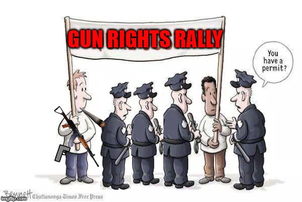 GUN RIGHTS RALLY | image tagged in 2a,justice | made w/ Imgflip meme maker