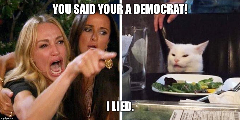Smudge the cat | YOU SAID YOUR A DEMOCRAT! I LIED. | image tagged in smudge the cat | made w/ Imgflip meme maker