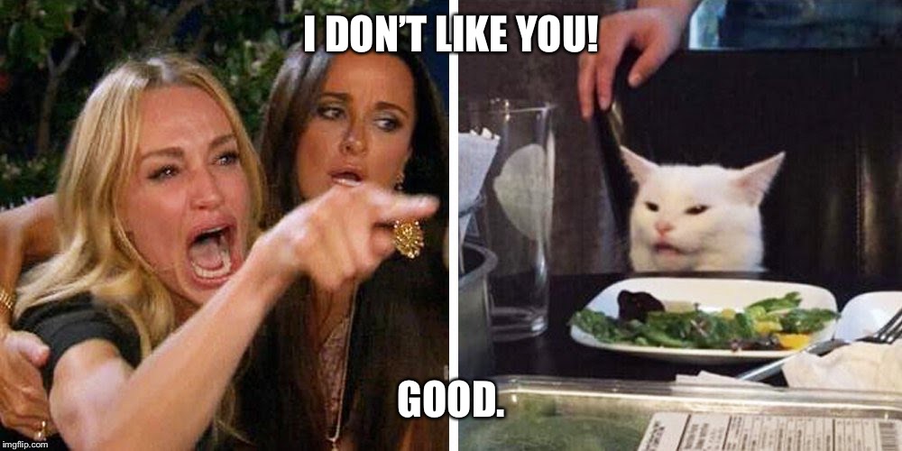 Smudge the cat | I DON’T LIKE YOU! GOOD. | image tagged in smudge the cat | made w/ Imgflip meme maker