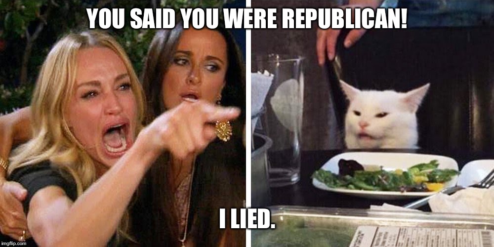 Smudge the cat | YOU SAID YOU WERE REPUBLICAN! I LIED. | image tagged in smudge the cat | made w/ Imgflip meme maker