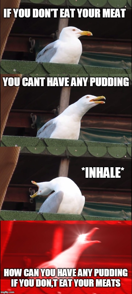 Inhaling Seagull | IF YOU DON'T EAT YOUR MEAT; YOU CANT HAVE ANY PUDDING; *INHALE*; HOW CAN YOU HAVE ANY PUDDING IF YOU DON,T EAT YOUR MEATS | image tagged in memes,inhaling seagull | made w/ Imgflip meme maker