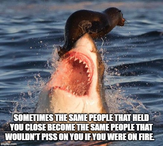 Travelonshark | SOMETIMES THE SAME PEOPLE THAT HELD YOU CLOSE BECOME THE SAME PEOPLE THAT WOULDN'T PISS ON YOU IF YOU WERE ON FIRE. | image tagged in memes,travelonshark | made w/ Imgflip meme maker