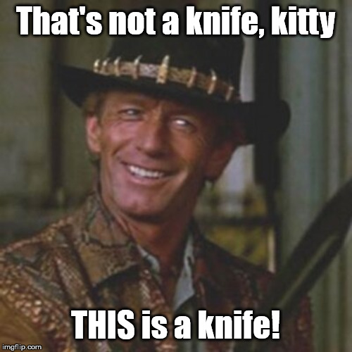 Dundee This Is A Knife | That's not a knife, kitty THIS is a knife! | image tagged in dundee this is a knife | made w/ Imgflip meme maker