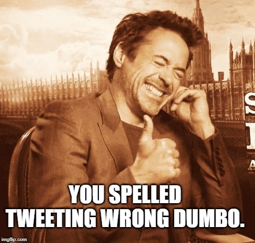 laughing | YOU SPELLED TWEETING WRONG DUMBO. | image tagged in laughing | made w/ Imgflip meme maker