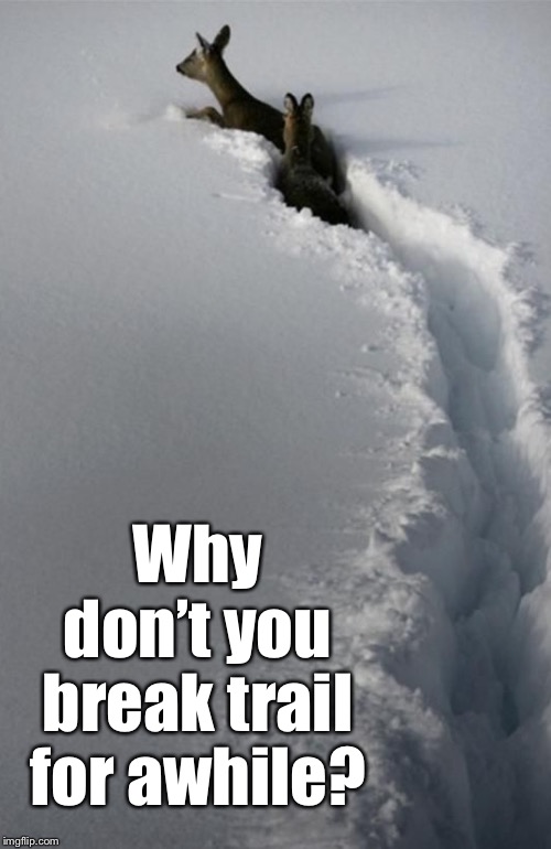 Why don’t you break trail for awhile? | made w/ Imgflip meme maker