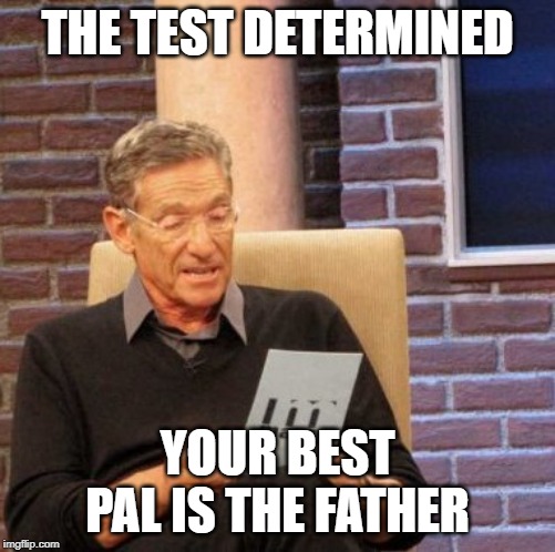 Maury Lie Detector Meme | THE TEST DETERMINED YOUR BEST PAL IS THE FATHER | image tagged in memes,maury lie detector | made w/ Imgflip meme maker