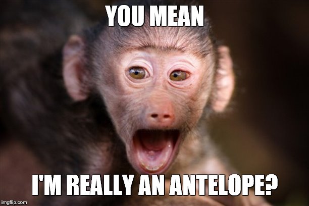 YOU MEAN I'M REALLY AN ANTELOPE? | made w/ Imgflip meme maker
