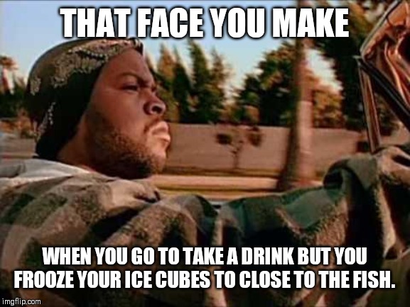 Today Was A Good Day Meme | THAT FACE YOU MAKE; WHEN YOU GO TO TAKE A DRINK BUT YOU FROOZE YOUR ICE CUBES TO CLOSE TO THE FISH. | image tagged in memes,today was a good day | made w/ Imgflip meme maker