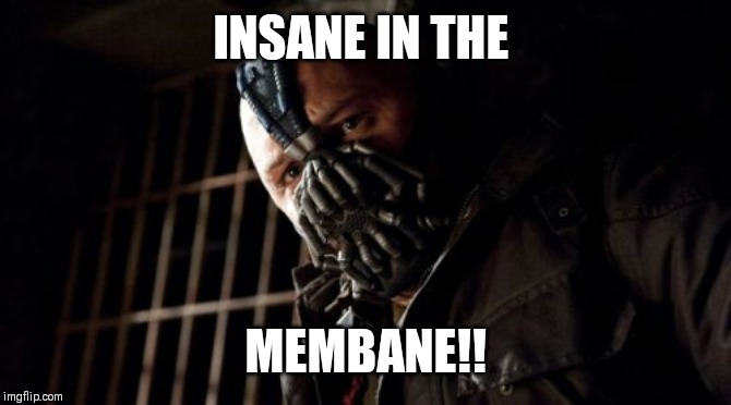 Permission Bane | INSANE IN THE; MEMBANE!! | image tagged in memes,permission bane | made w/ Imgflip meme maker