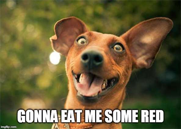 Happy dog | GONNA EAT ME SOME RED | image tagged in happy dog | made w/ Imgflip meme maker