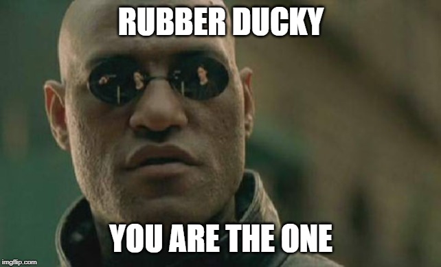 Matrix Morpheus | RUBBER DUCKY; YOU ARE THE ONE | image tagged in memes,matrix morpheus | made w/ Imgflip meme maker