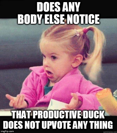 even if you leave a positive comment he never upvotes it |  DOES ANY BODY ELSE NOTICE; THAT PRODUCTIVE DUCK DOES NOT UPVOTE ANY THING | image tagged in i dont know girl,comments,imgflip users | made w/ Imgflip meme maker