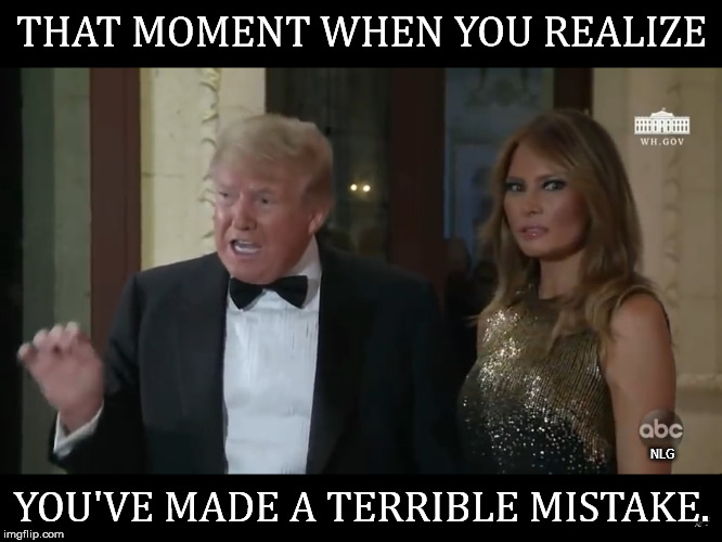 Melania's Mistake | THAT MOMENT WHEN YOU REALIZE; NLG; YOU'VE MADE A TERRIBLE MISTAKE. | image tagged in political meme | made w/ Imgflip meme maker