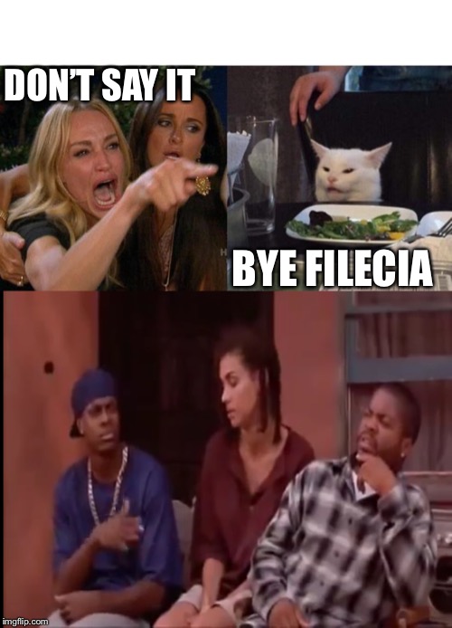 DON’T SAY IT; BYE FILECIA | image tagged in memes,woman yelling at cat | made w/ Imgflip meme maker