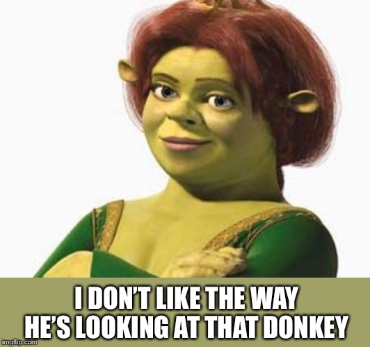 Princess Fiona | I DON’T LIKE THE WAY HE’S LOOKING AT THAT DONKEY | image tagged in princess fiona | made w/ Imgflip meme maker
