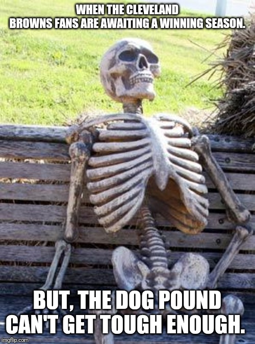 Waiting Skeleton | WHEN THE CLEVELAND BROWNS FANS ARE AWAITING A WINNING SEASON. BUT, THE DOG POUND CAN'T GET TOUGH ENOUGH. | image tagged in memes,waiting skeleton | made w/ Imgflip meme maker