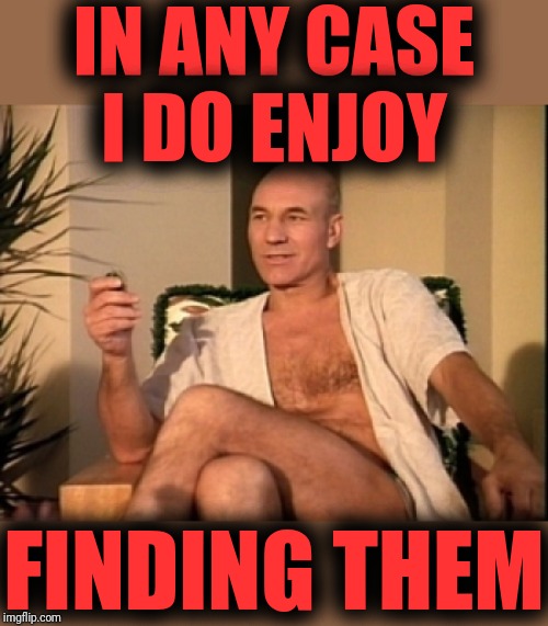 Sexual picard | IN ANY CASE I DO ENJOY FINDING THEM | image tagged in sexual picard | made w/ Imgflip meme maker