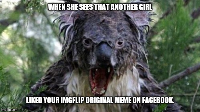 Angry Koala | WHEN SHE SEES THAT ANOTHER GIRL; LIKED YOUR IMGFLIP ORIGINAL MEME ON FACEBOOK. | image tagged in memes,angry koala | made w/ Imgflip meme maker
