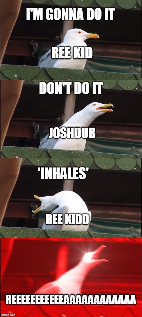 Inhaling Seagull Memes - Imgflip