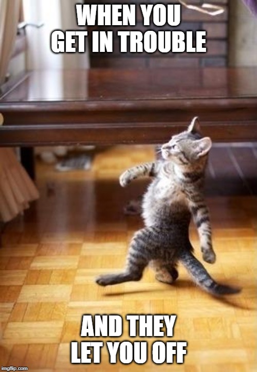 Cool Cat Stroll Meme |  WHEN YOU GET IN TROUBLE; AND THEY LET YOU OFF | image tagged in memes,cool cat stroll | made w/ Imgflip meme maker