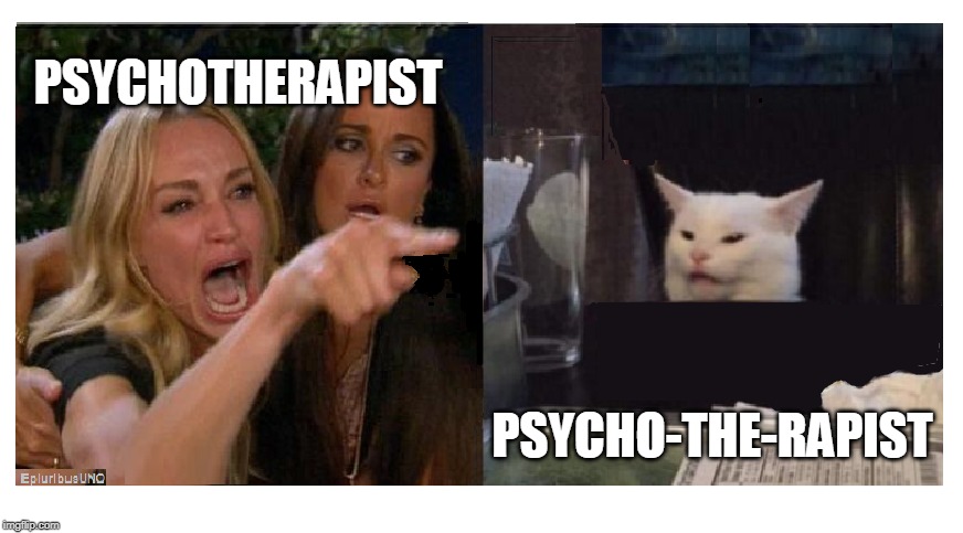 PUNCTUATION MATTERS | PSYCHOTHERAPIST; PSYCHO-THE-RAPIST | image tagged in smudge the cat,lady yelling at cat | made w/ Imgflip meme maker