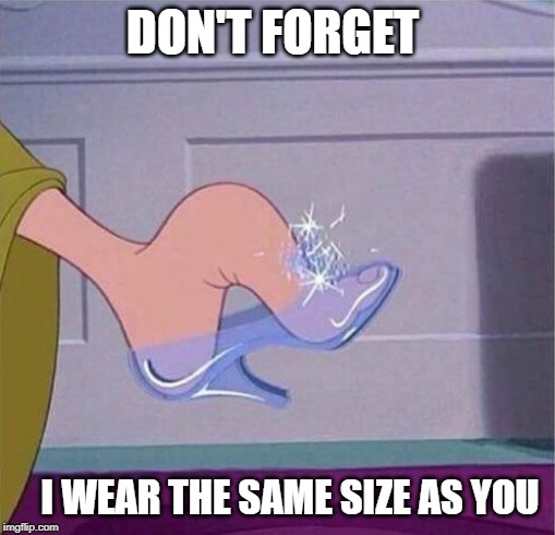 Cinderella shoe |  DON'T FORGET; I WEAR THE SAME SIZE AS YOU | image tagged in cinderella shoe | made w/ Imgflip meme maker