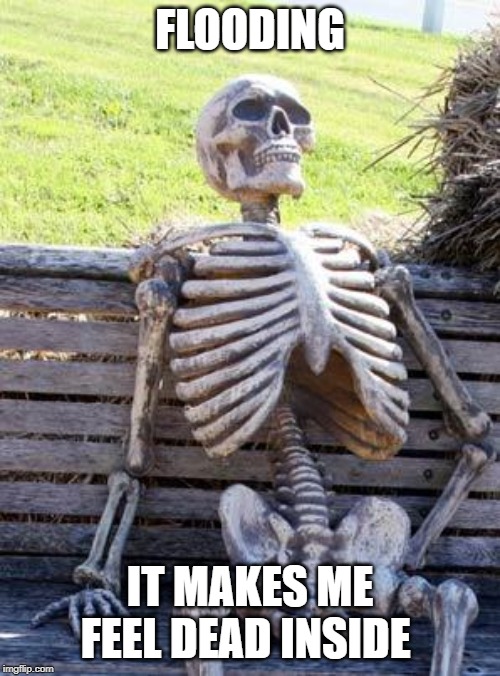 Waiting Skeleton Meme | FLOODING; IT MAKES ME FEEL DEAD INSIDE | image tagged in memes,waiting skeleton | made w/ Imgflip meme maker