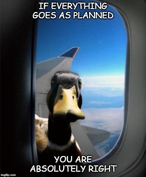 Duck on plane wing |  IF EVERYTHING GOES AS PLANNED; YOU ARE ABSOLUTELY RIGHT | image tagged in duck on plane wing | made w/ Imgflip meme maker