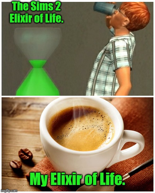 Elixir of Life | The Sims 2 Elixir of Life. My Elixir of Life. | image tagged in the sims,memes | made w/ Imgflip meme maker
