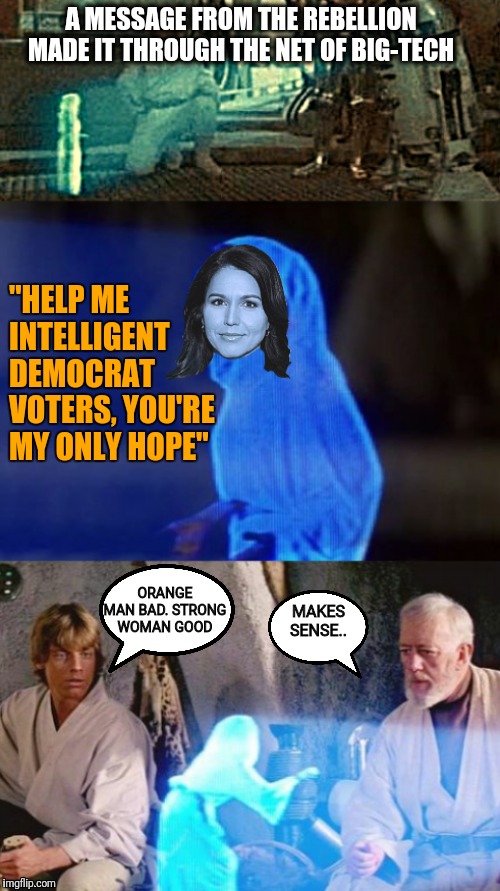 Don't let the DNC empire silence princess Tulsi | A MESSAGE FROM THE REBELLION MADE IT THROUGH THE NET OF BIG-TECH; "HELP ME INTELLIGENT DEMOCRAT VOTERS, YOU'RE MY ONLY HOPE"; ORANGE MAN BAD. STRONG WOMAN GOOD; MAKES SENSE.. | image tagged in memes,political meme,election 2020,democrats,star wars | made w/ Imgflip meme maker