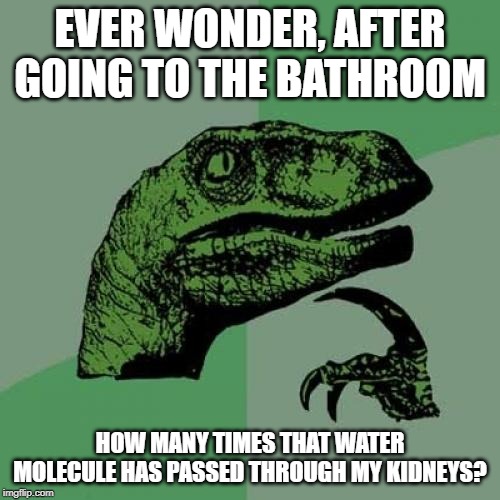 Philosoraptor Meme | EVER WONDER, AFTER GOING TO THE BATHROOM; HOW MANY TIMES THAT WATER MOLECULE HAS PASSED THROUGH MY KIDNEYS? | image tagged in memes,philosoraptor | made w/ Imgflip meme maker