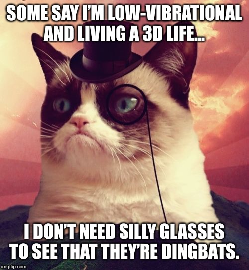 Grumpy Cat Top Hat Meme | SOME SAY I’M LOW-VIBRATIONAL AND LIVING A 3D LIFE... I DON’T NEED SILLY GLASSES TO SEE THAT THEY’RE DINGBATS. | image tagged in memes,grumpy cat top hat,grumpy cat | made w/ Imgflip meme maker