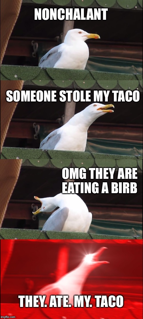 Inhaling Seagull Meme | NONCHALANT; SOMEONE STOLE MY TACO; OMG THEY ARE EATING A BIRB; THEY. ATE. MY. TACO | image tagged in memes,inhaling seagull | made w/ Imgflip meme maker